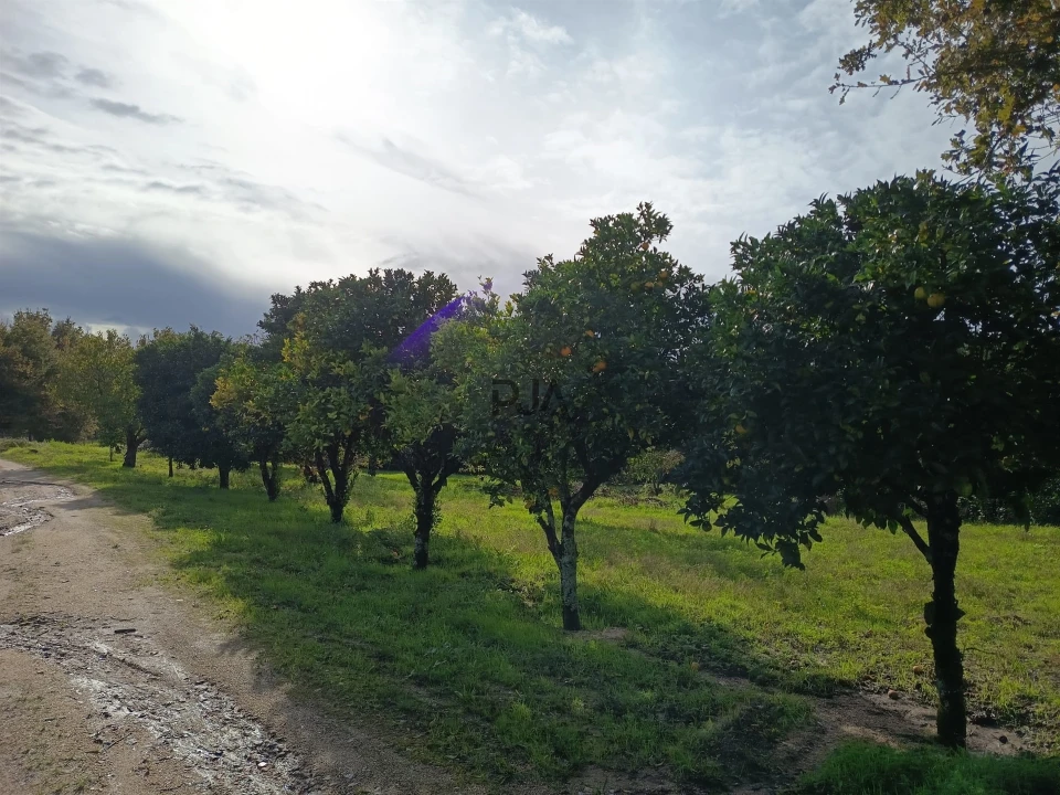 Terreno para Venda em Treixedo e Nagozela Foto 1