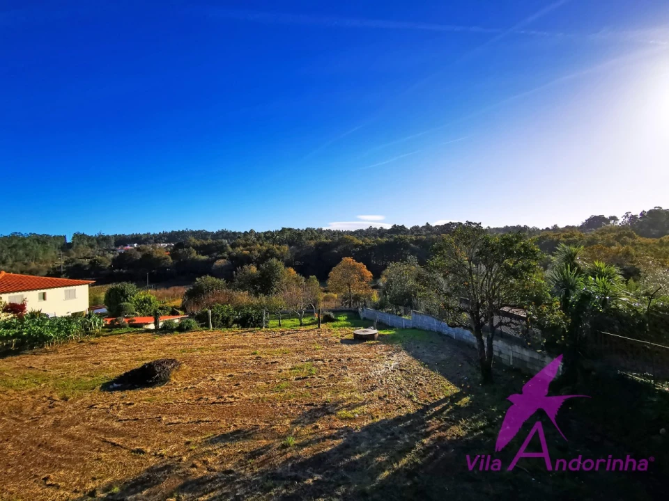 Prédio para Venda em Nogueira, Meixedo e Vilar de Murteda Foto 5