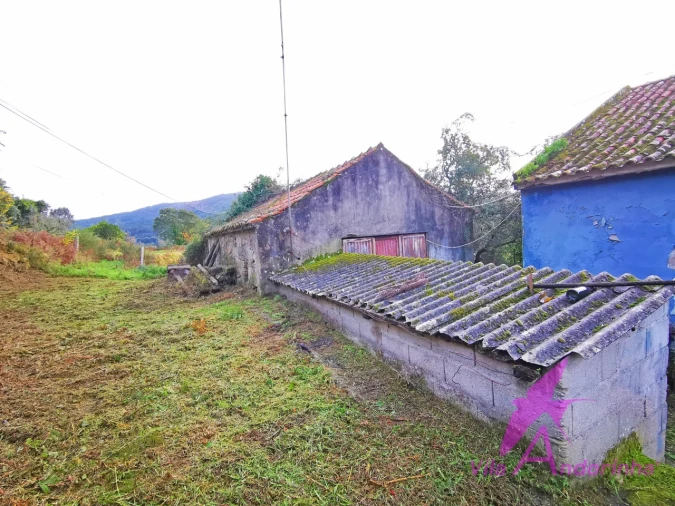 Moradia T3 para Venda em Riba de Ancora Foto 14