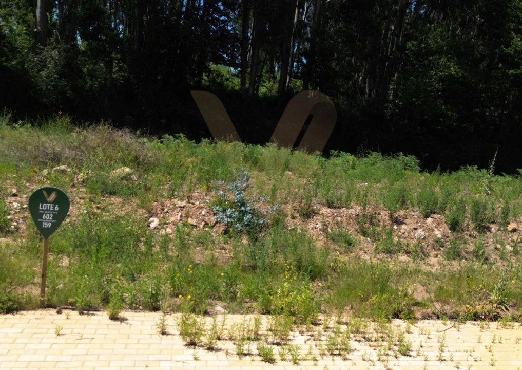 Terreno para Venda em Fornelos e Queijada Foto 3