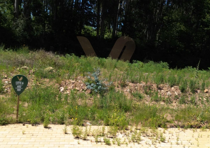 Terreno para Venda em Fornelos e Queijada Foto 3