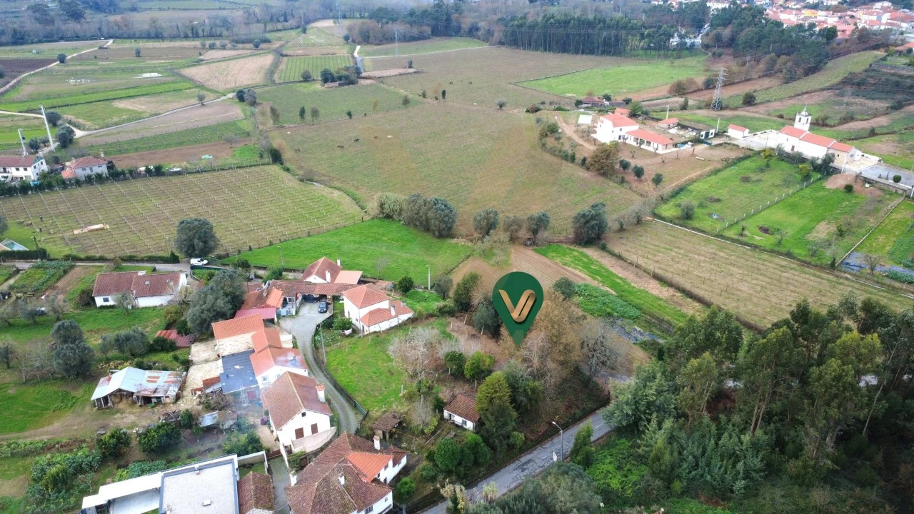 Terreno para Venda em Feitosa Foto 8