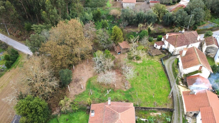 Terreno para Venda em Feitosa Foto 6