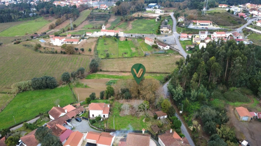 Terreno para Venda em Feitosa Foto 9