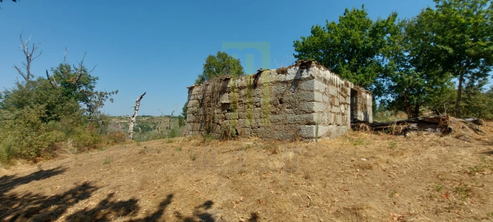 Quinta para Venda em Lagares Foto 5