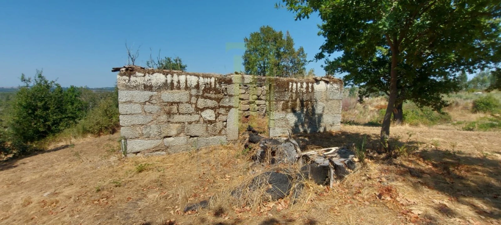 Quinta para Venda em Lagares Foto 7