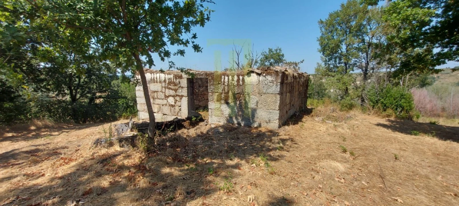 Quinta para Venda em Lagares Foto 8