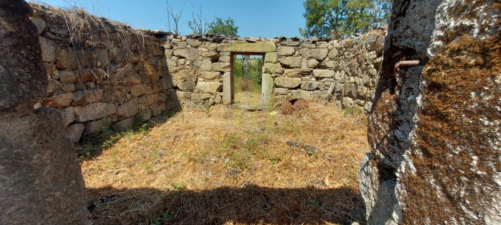 Quinta para Venda em Lagares Foto 10