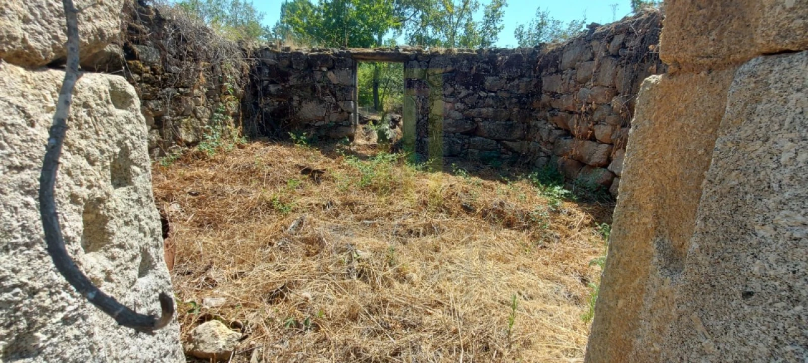 Quinta para Venda em Lagares Foto 11