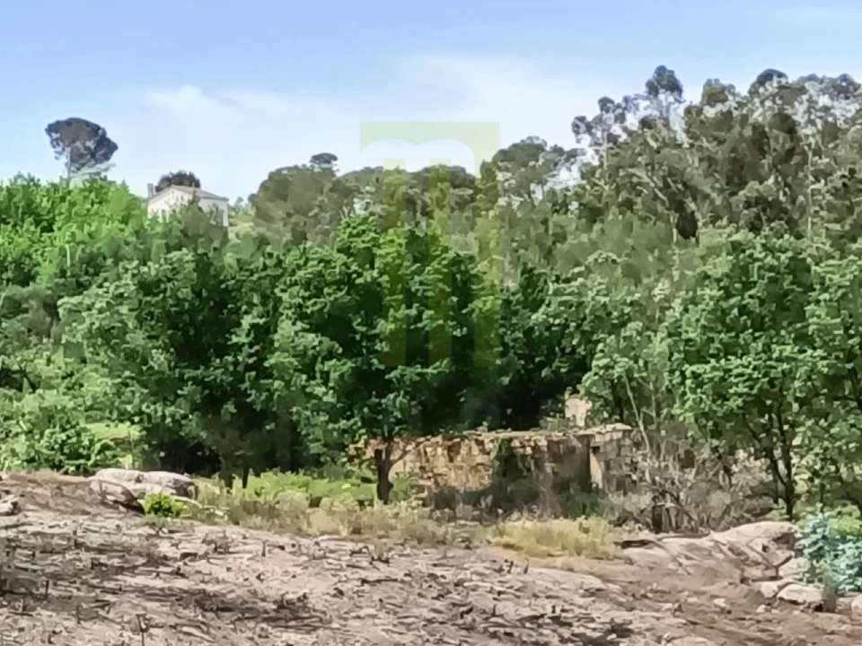 Quinta para Venda em Lagares Foto 14