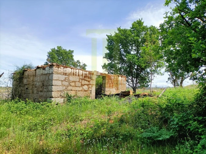 Quinta para Venda em Lagares Foto 6