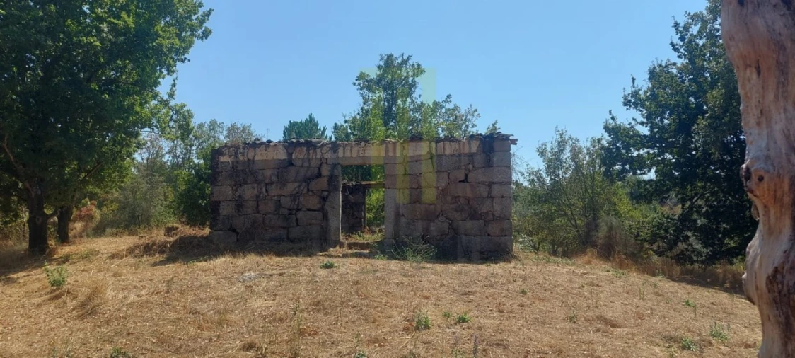 Quinta para Venda em Lagares Foto 2