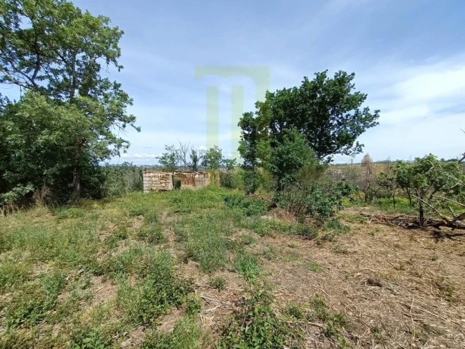 Quinta para Venda em Lagares Foto 4