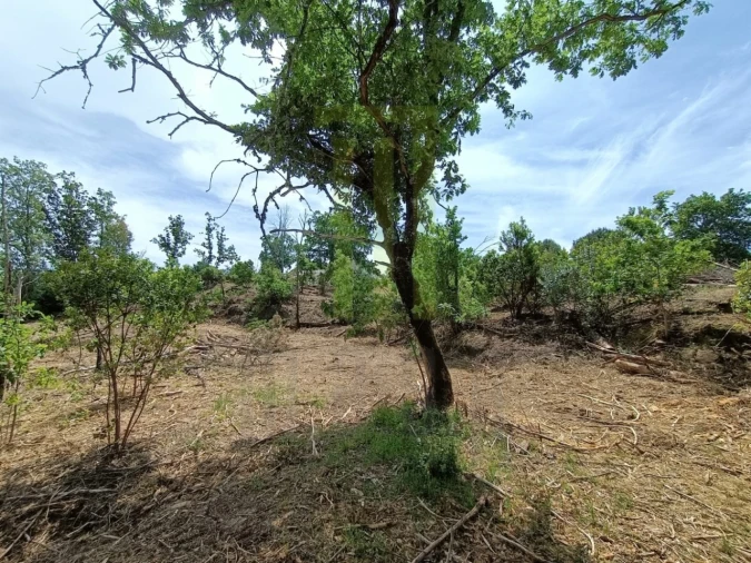 Quinta para Venda em Lagares Foto 13