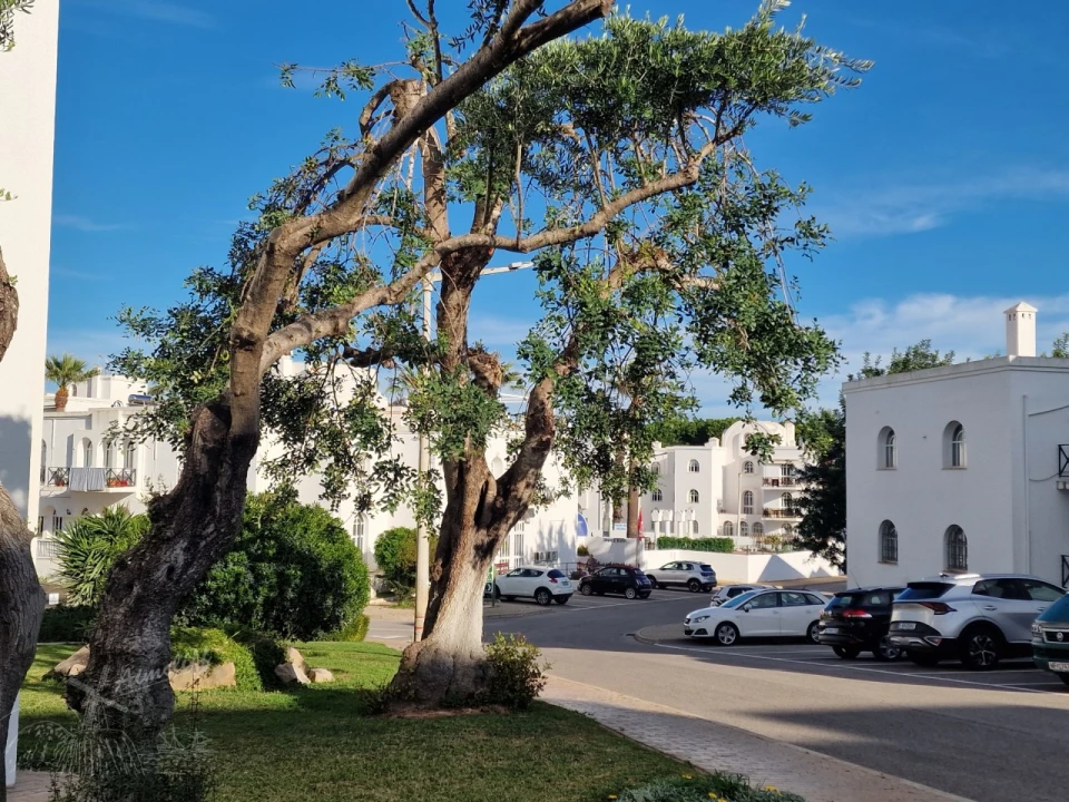 Apartamento T1 para Venda em Tavira (Santa Maria e Santiago) Foto 20