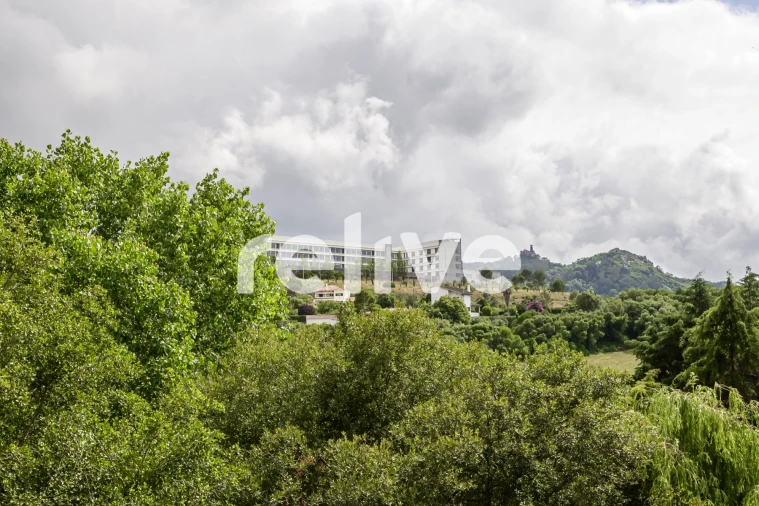 Apartamento T2 para Venda em Santa Maria e São Miguel, São Martinho, São Pedro Penaferrim Foto 20
