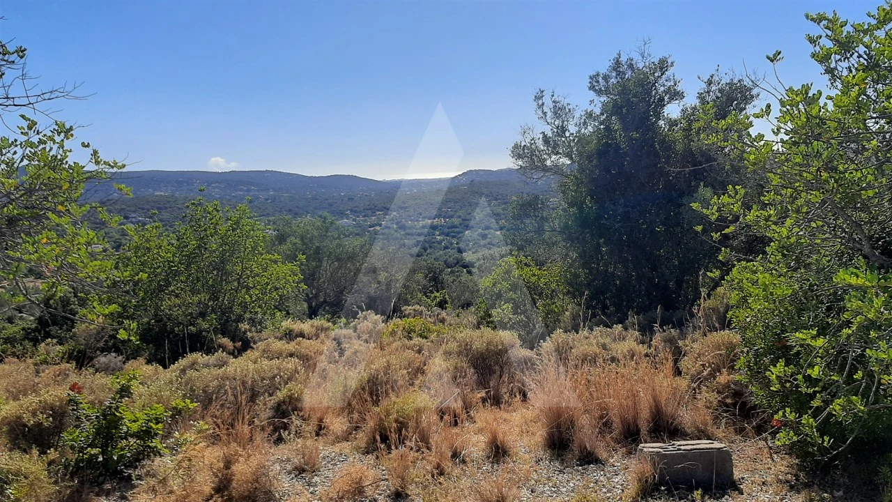 Terreno para Venda em Santa Barbara de Nexe Foto 2