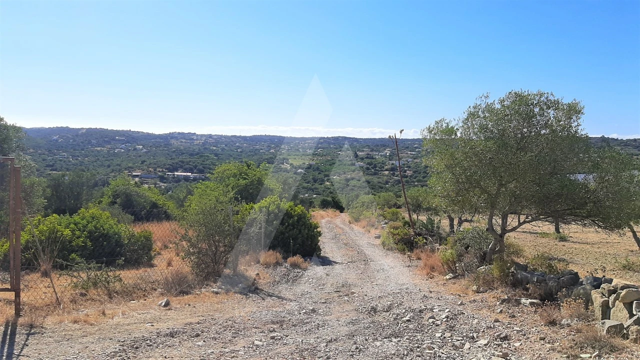 Terreno para Venda em Santa Barbara de Nexe Foto 6