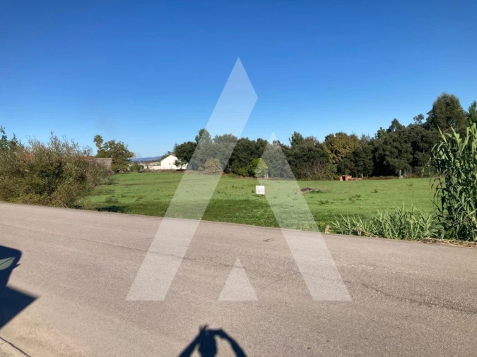 Terreno para Venda em Oliveira do Bairro Foto 3