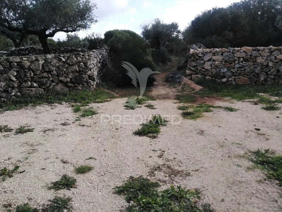 Terreno para Venda em Serra de Santo Antonio Foto 6
