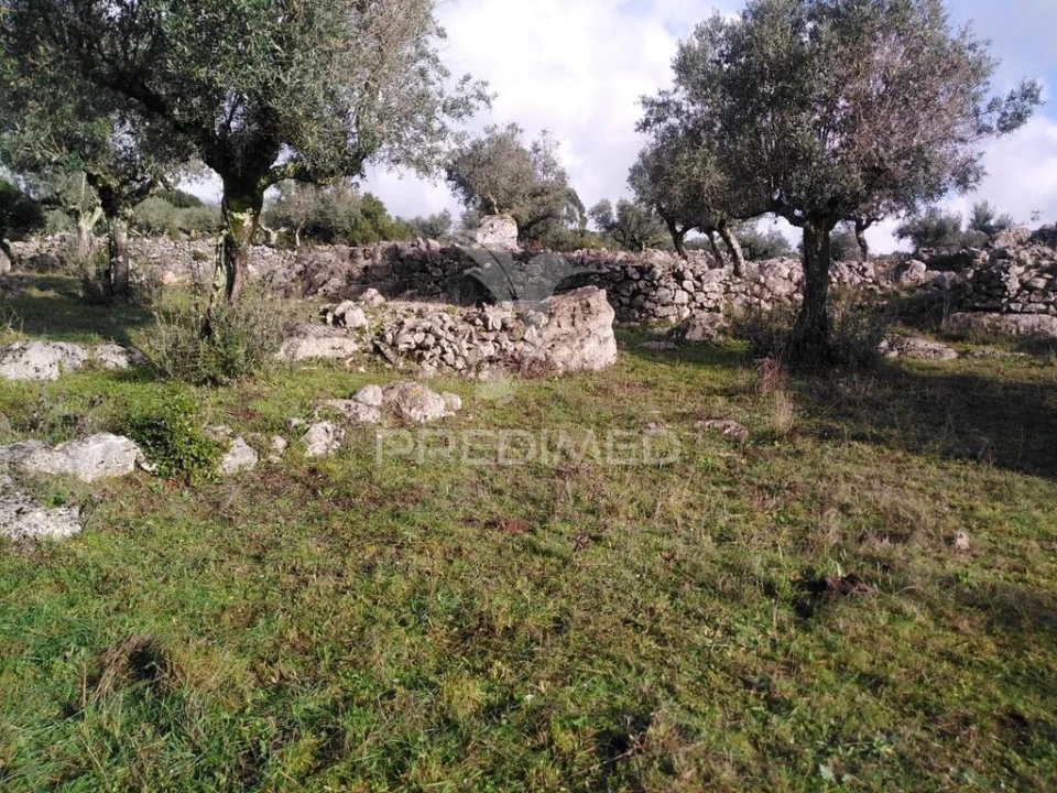 Terreno para Venda em Serra de Santo Antonio Foto 19