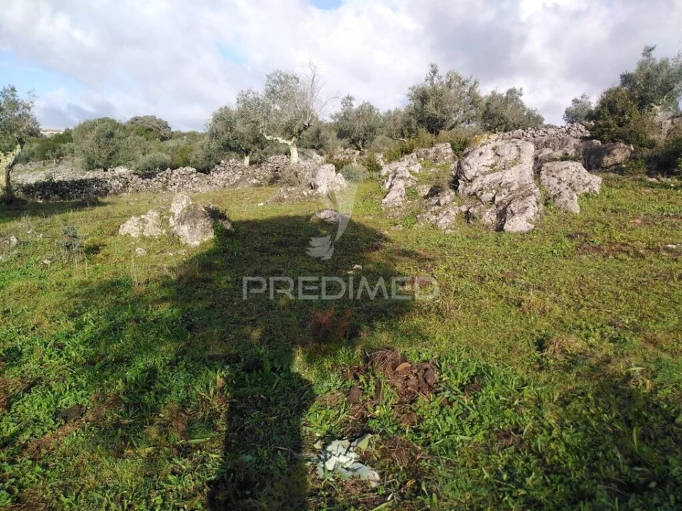 Terreno para Venda em Serra de Santo Antonio Foto 18