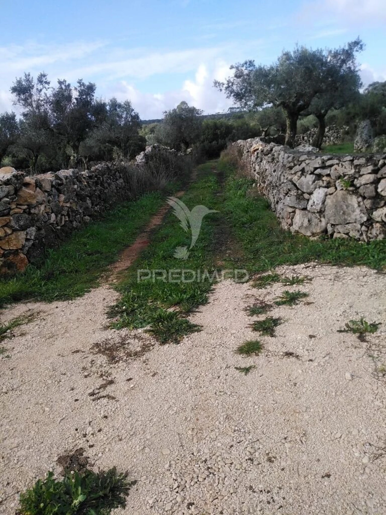 Terreno para Venda em Serra de Santo Antonio Foto 4