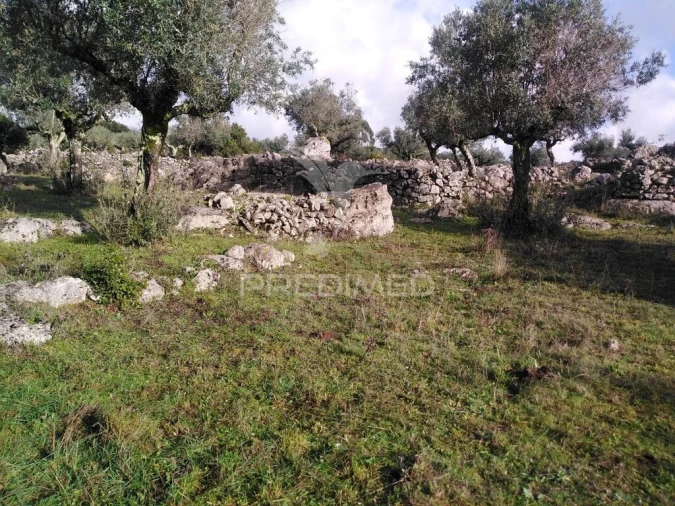 Terreno para Venda em Serra de Santo Antonio Foto 19