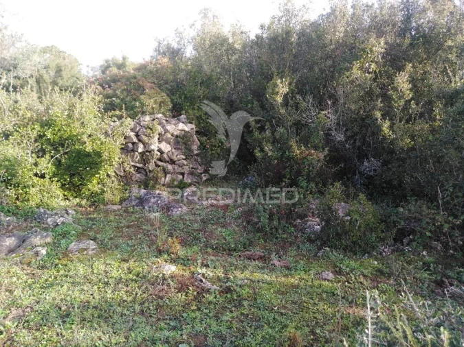 Terreno para Venda em Serra de Santo Antonio Foto 14