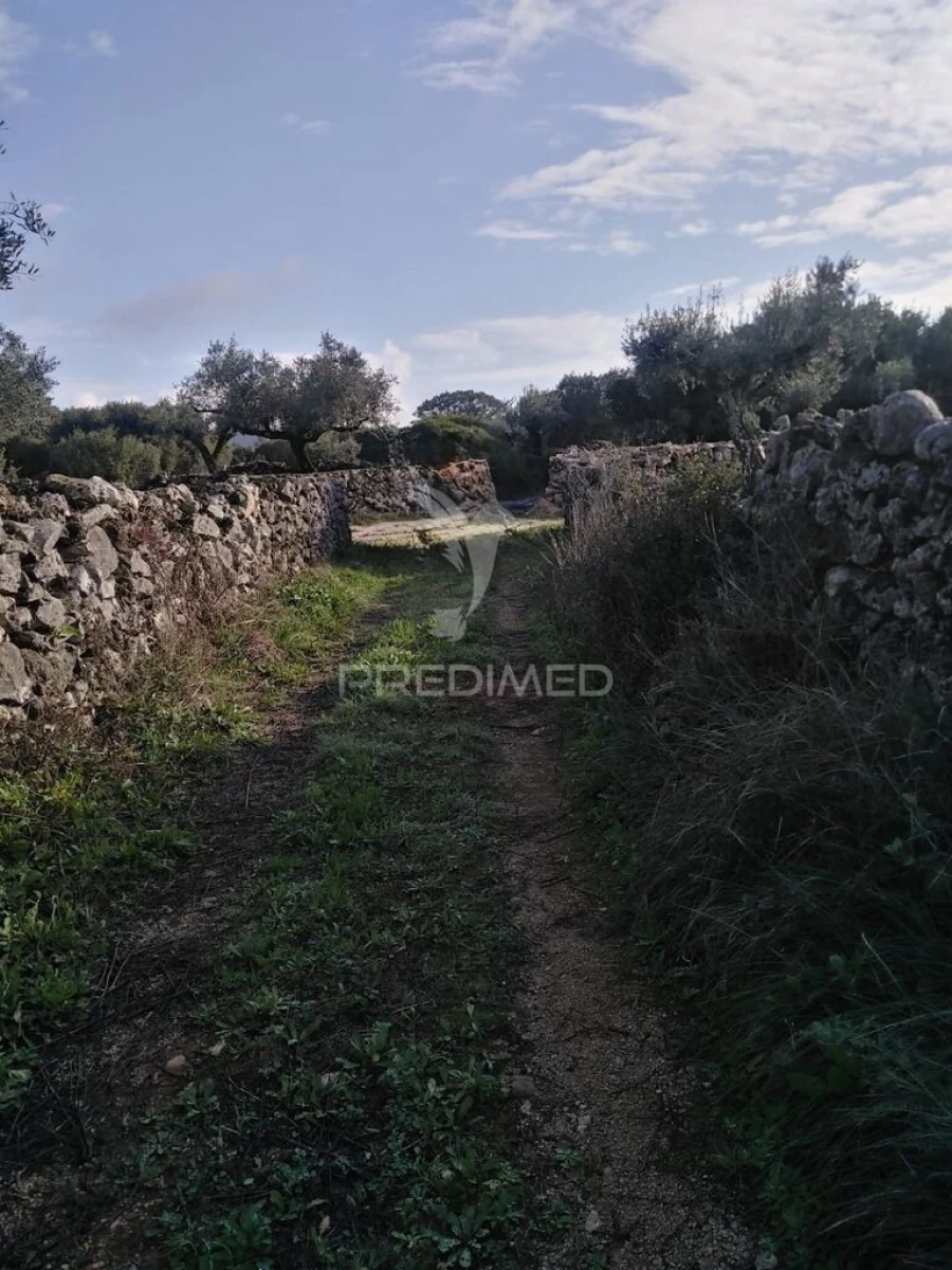 Terreno para Venda em Serra de Santo Antonio Foto 9