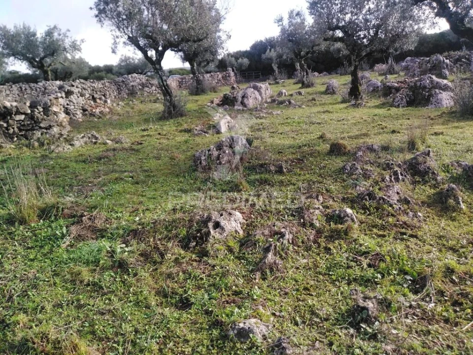 Terreno para Venda em Serra de Santo Antonio Foto 3