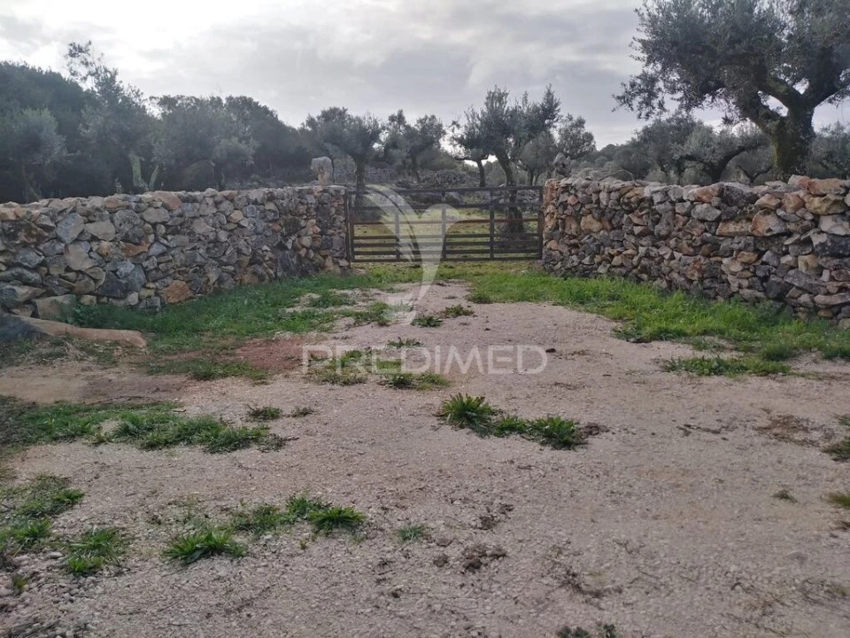 Terreno para Venda em Serra de Santo Antonio Foto 1