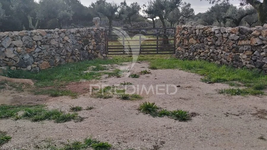 Terreno para Venda em Serra de Santo Antonio