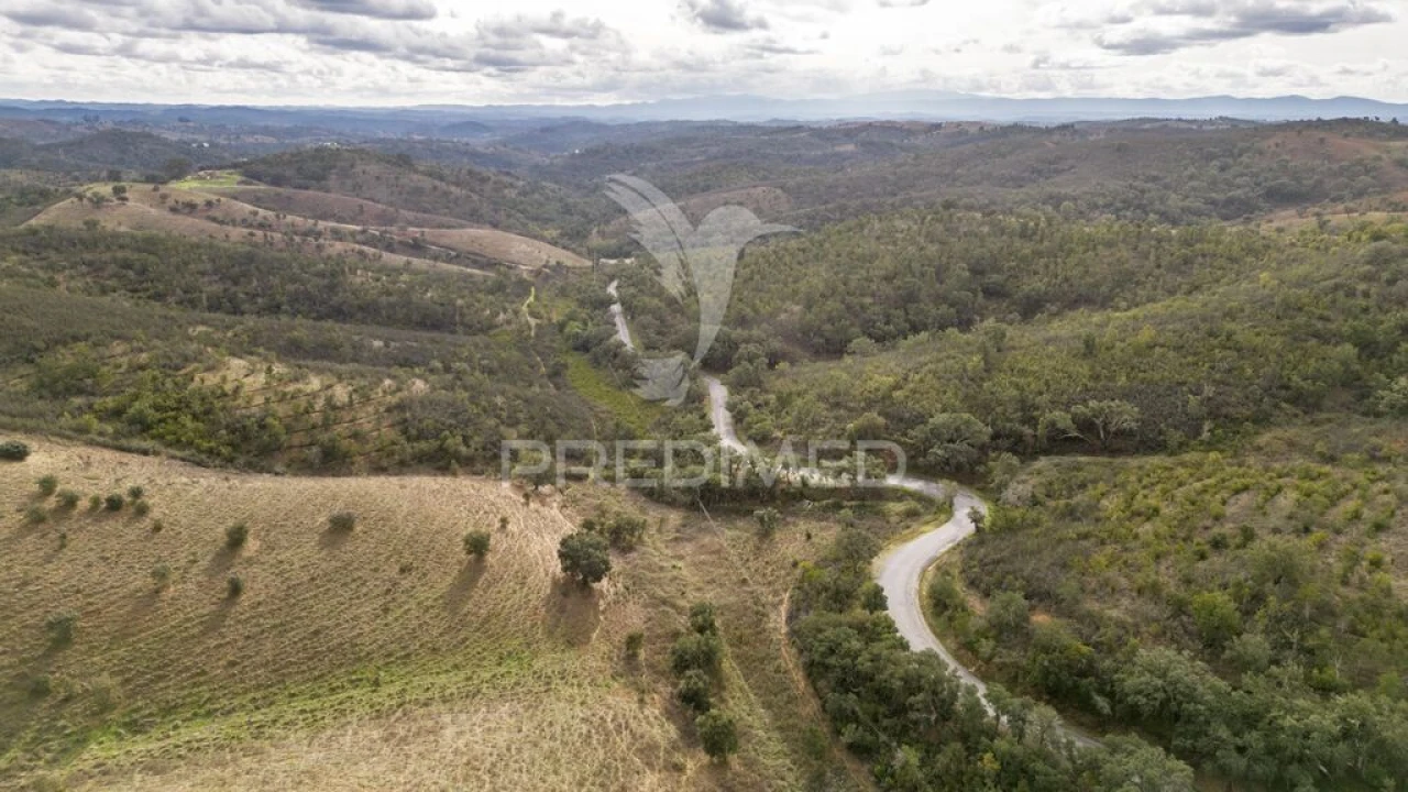 Quinta para Venda em Luzianes-Gare Foto 11
