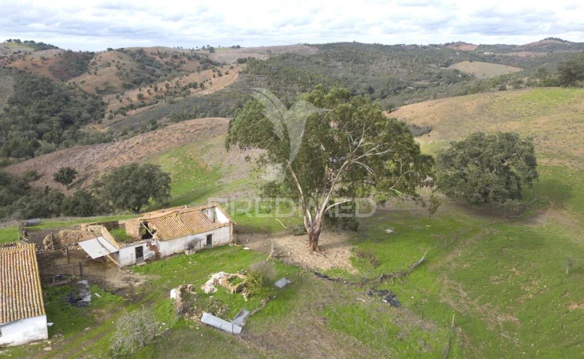 Quinta para Venda em Luzianes-Gare Foto 7