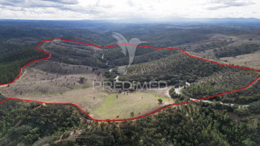 Quinta para Venda em Luzianes-Gare Foto 5