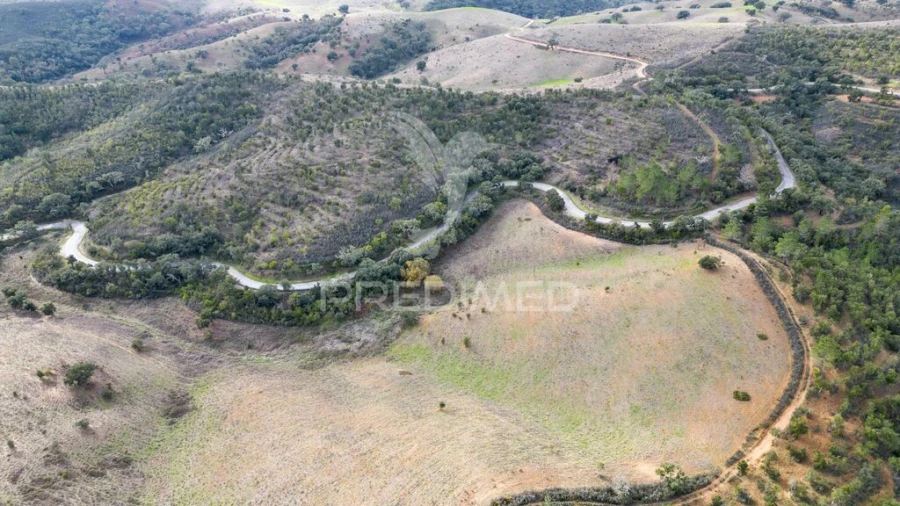 Quinta para Venda em Luzianes-Gare Foto 12