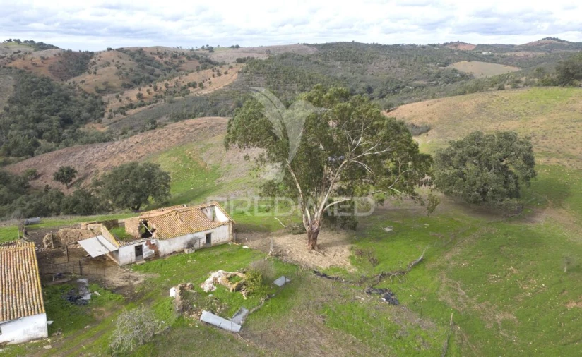 Quinta para Venda em Luzianes-Gare Foto 7