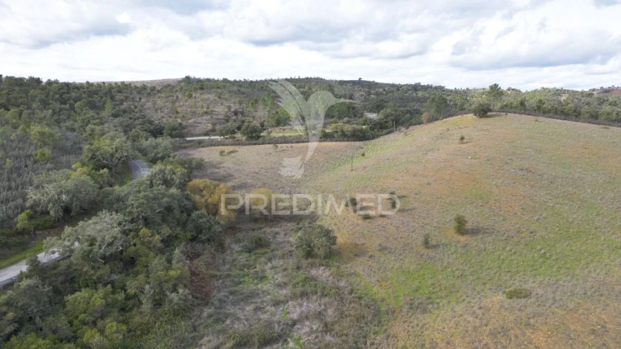 Quinta para Venda em Luzianes-Gare Foto 19