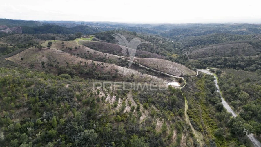 Quinta para Venda em Luzianes-Gare Foto 15