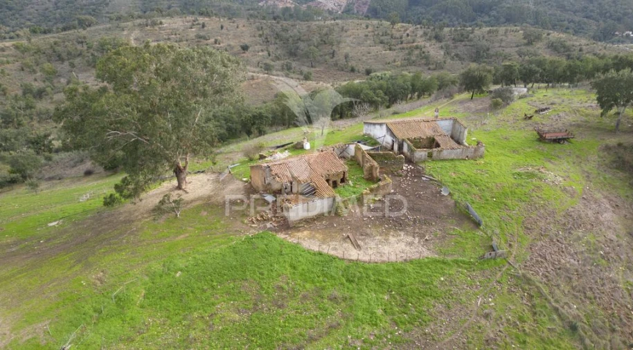 Quinta para Venda em Luzianes-Gare Foto 6