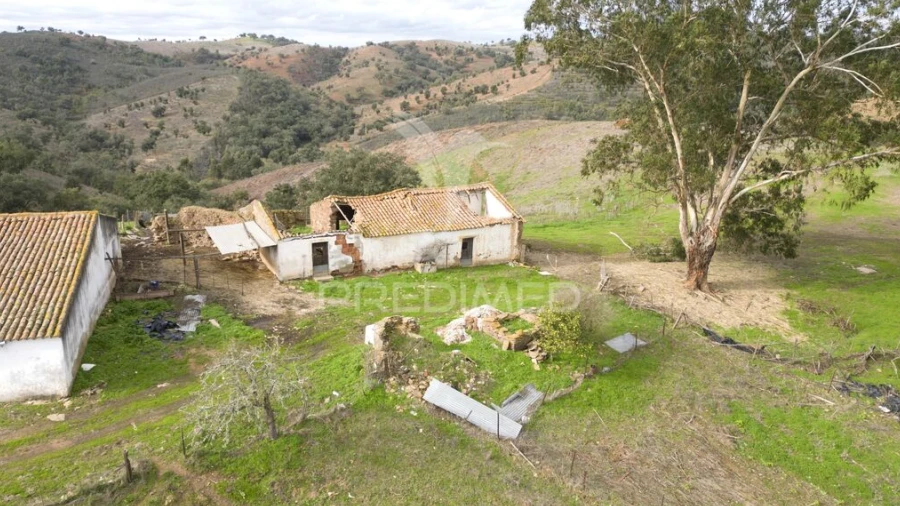 Quinta para Venda em Luzianes-Gare
