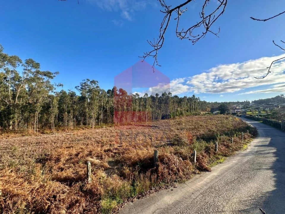 Terreno para Venda em Alheira e Igreja Nova Foto 14