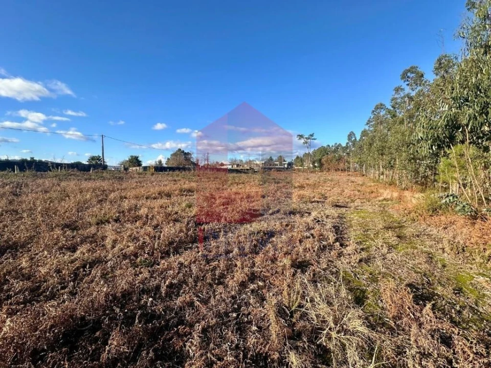 Terreno para Venda em Alheira e Igreja Nova Foto 7