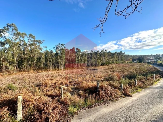 Terreno para Venda em Alheira e Igreja Nova Foto 16