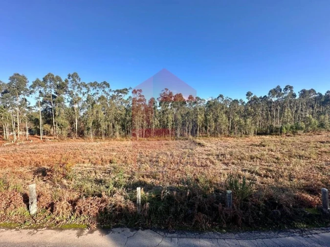 Terreno para Venda em Alheira e Igreja Nova Foto 18