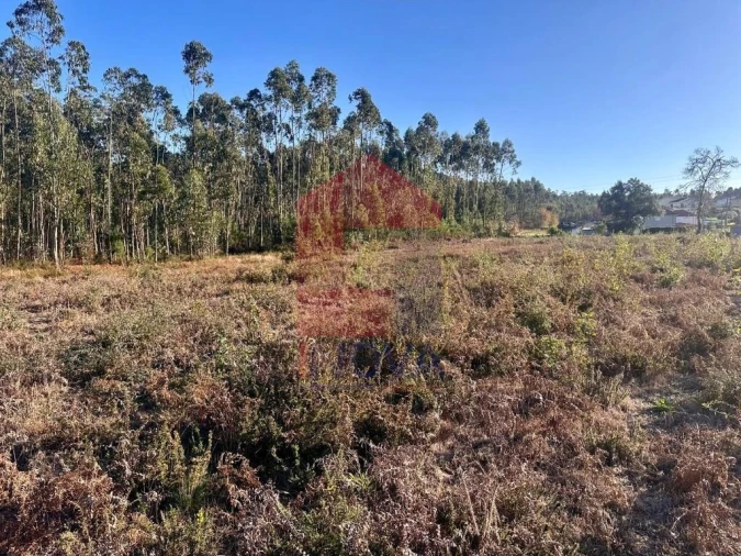 Terreno para Venda em Alheira e Igreja Nova Foto 10