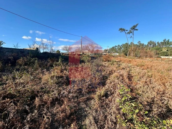Terreno para Venda em Alheira e Igreja Nova Foto 12