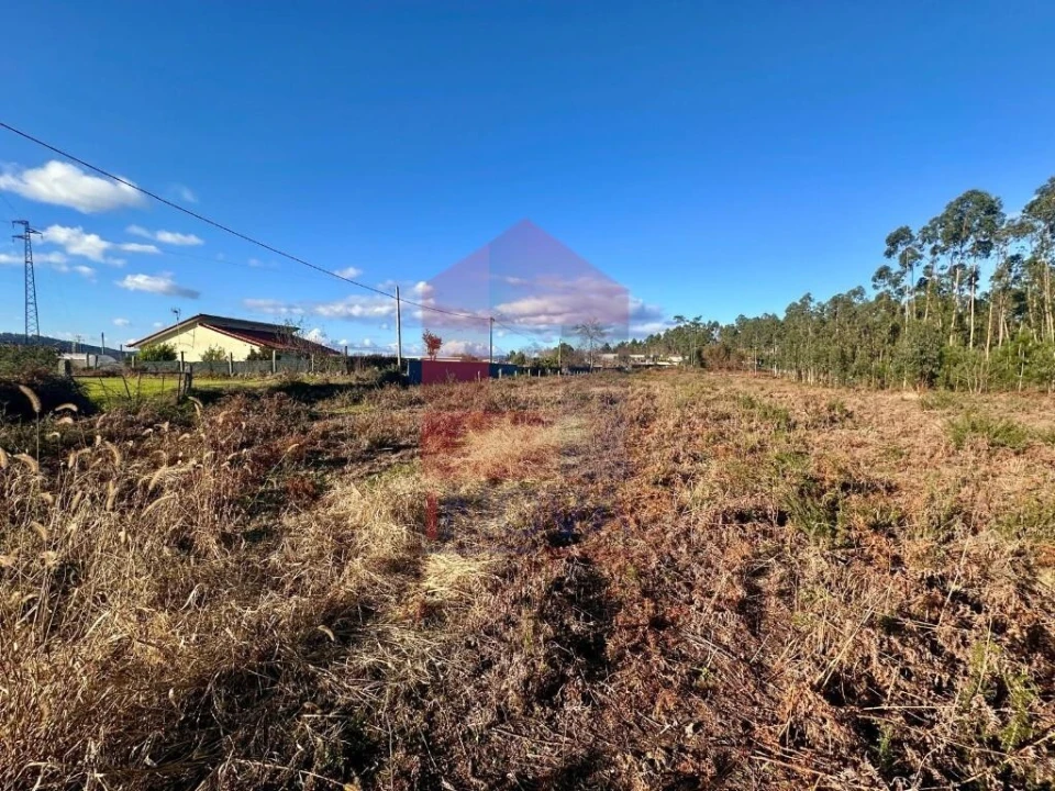 Terreno para Venda em Alheira e Igreja Nova Foto 15