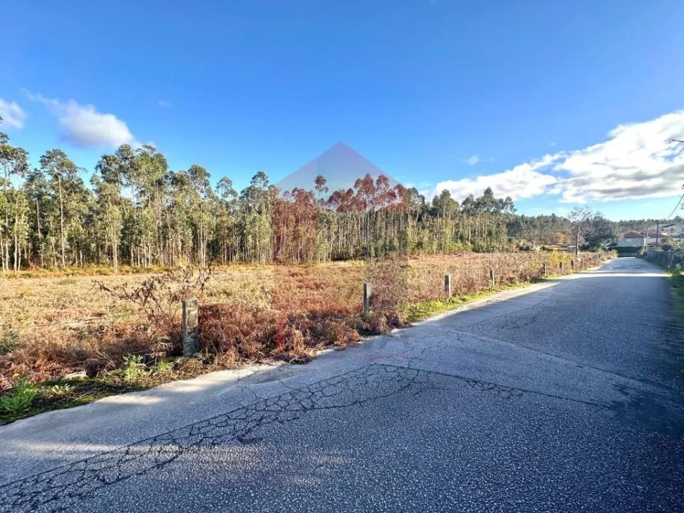 Terreno para Venda em Alheira e Igreja Nova Foto 20